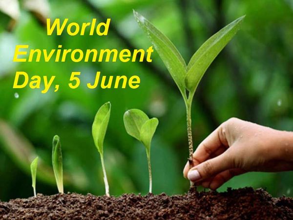 World-Environment-Day.jpg