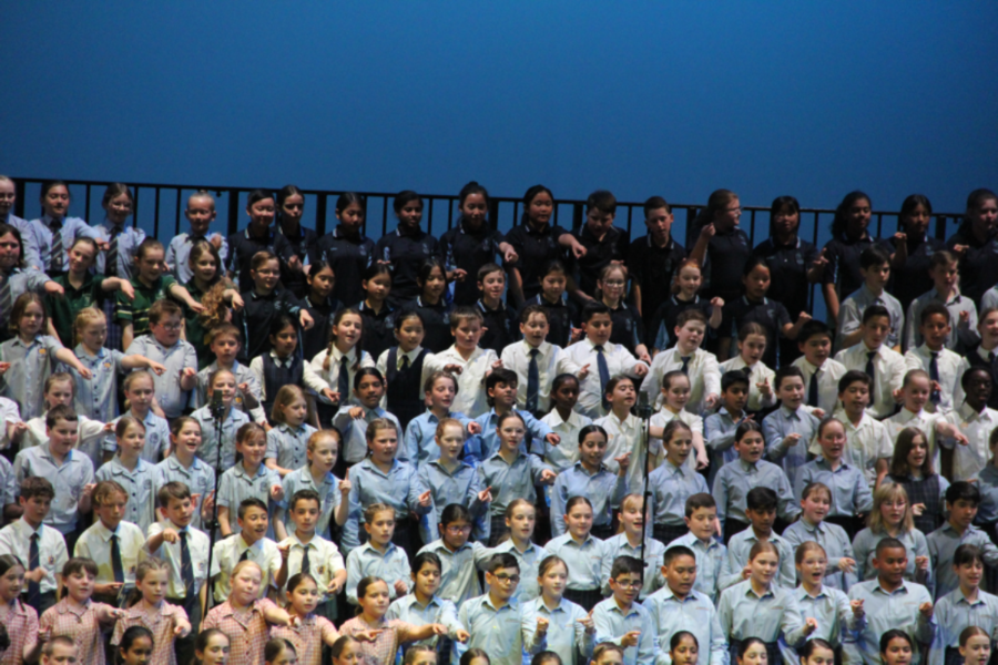 Picture3